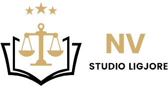 nvlogo